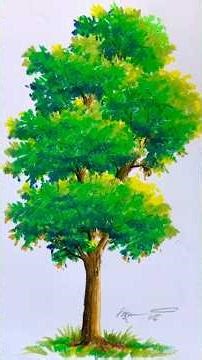 draw beautiful tree with pastel color #shorts