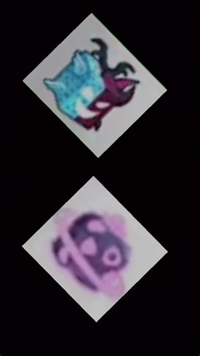 Gravity VS Spirit fruit #bloxfurit