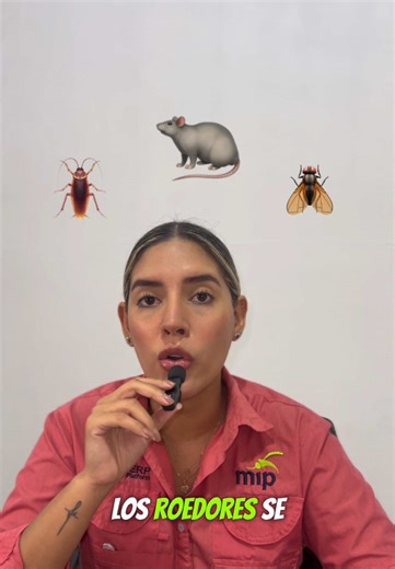 🍽️Las plagas aparte de dañar tu restaurant, dañan tu reputación. ✔ En MIP protegemos tus espacios. 📲 Escribinos y agendá tu control al 74182618 #controldeplagas #mip #negocioprotegido #prevencion #restaurant