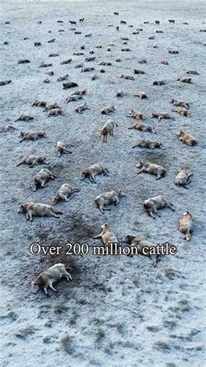 It Didn’t Infect Humans… So What Killed Millions?