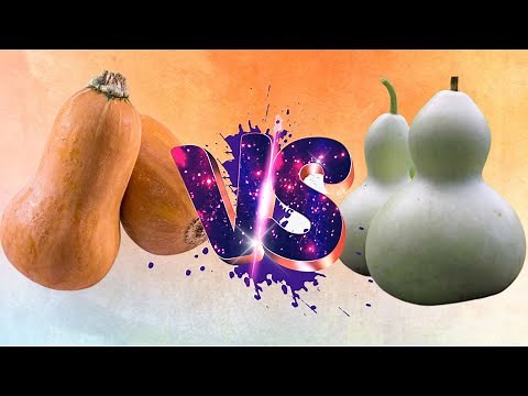 What's the DIFFERENCE Between A SQUASH and A GOURD? 🤔#edibleknowledge