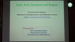 Anatomy and Physiology: Class -3 : Body Quadrants and Regions | Bangladesh Nursing and Midwifery Council