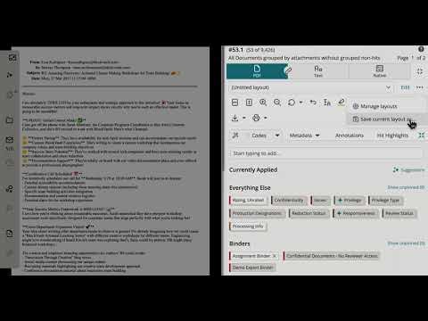 Customize your Everlaw Review Window