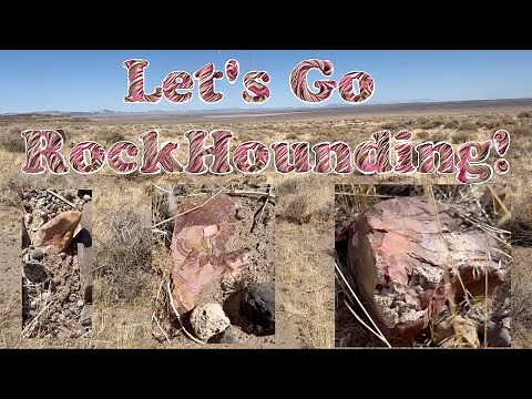 Rockhounding in Northern Nevada! Finding Gorgeous Wonderstone, Jaspers, Purple Breccia, and More!