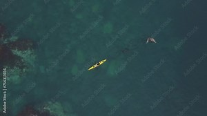 Experience the thrill of kayaking in the ocean with stunning aerial footage