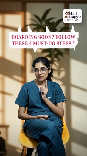 🧳🐾 How to Prepare Your Pet for a Stress-Free Boarding Stay Preparing your pet before boarding helps reduce anxiety, keeps them comfortable, and ensures a smooth, happy stay. A little planning goes a long way in making boarding feel safe and familiar for your furry companion. Tips for a Calm & Comfortable Boarding Experience: 🐶🐱 Schedule a pre-boarding health check to ensure your pet is fit and vaccinated 🛁 Groom your pet a day or two before boarding for comfort and hygiene 🍖 Pack familiar 