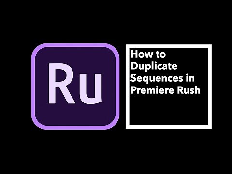 复制项目和序列