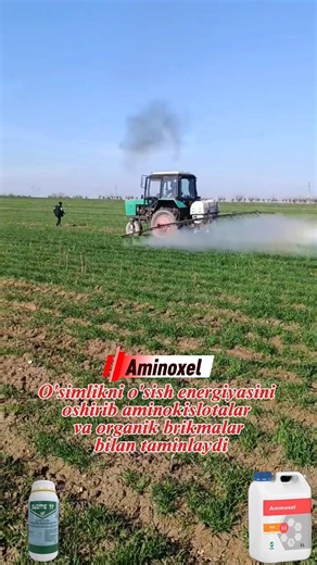 SHOSHILAMIZ! G'alla maydonlariga agrotexnik ishlovlar boshlandi. +998952429444 #bugdoy #арпа #arpa