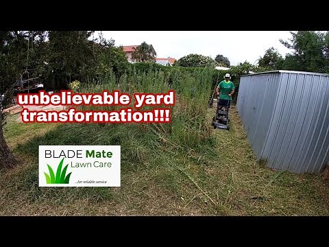 Oddly satisfying tall grass cutting - Victa 550 Mulchmaster ANNIHILATES 6ft weeds!