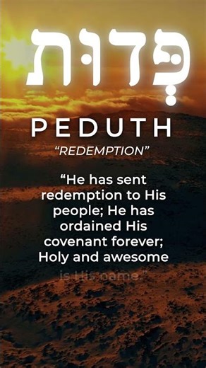 Hebrew Word of the Week: Peduth