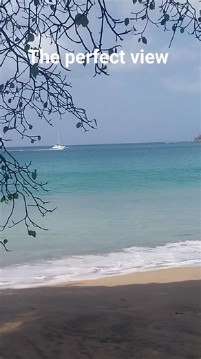 The perfect view #beach #beachfishing #camping #fishing #caribbean #outdoors #beaches