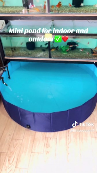 #fyp #littleocean #AquariumGoals #fishes #aquariumshop #newarrival #happyfishkeeping🐠🐟❤️❤️ #okaybye