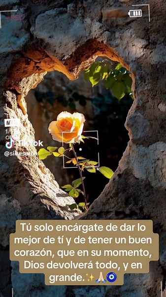 Cuando uno da con el corazón todo regresa multiplicado 70 veses 7 de la mano de Dios! 🫶🏻🙏🏻✨#diosbendice #70veces7 #daconamor #haselbien #universoquemasesposible