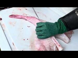 Filetere Breiflabb og breiflabbkjaker #breiflabb#fiske #filetere#fish