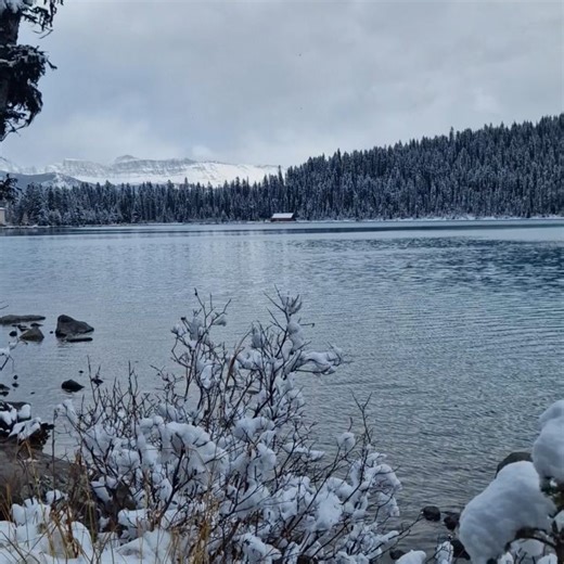 Amandine Choteau on Instagram: "📍Louise Lake 🇨🇦 Le Lac Louise est le lac le plus photographié du Canada, et on comprend aisément pourquoi ! L'été les visiteurs peuvent y faire du canoë, l'hiver, quand il fait bien froid une épaisse couche de glace se forme et le lac se transforme en patinoire. Du 13 mai au 16 octobre, le parking est payant 36.75$ par voiture et complet de l'aube à la tombée de la nuit, il est possible de se garer plus loin et d'emprunter une navette (8$ p