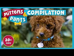 Family FUN! 🐈 | Mittens & Pants | Kids TV Show