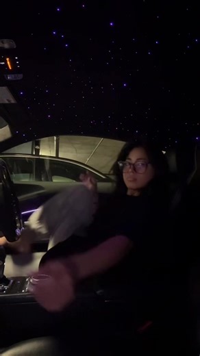 Starlights in the r8🙇🏻‍♀️ | r8