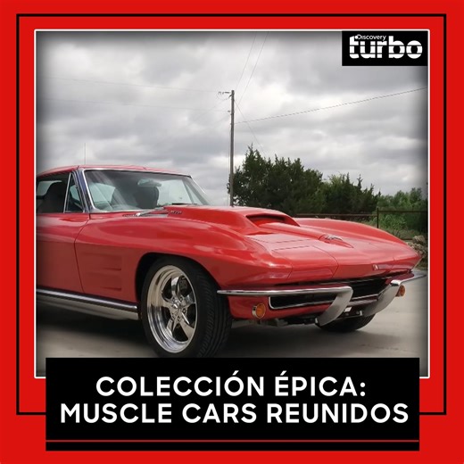 Cuando los muscle cars se reúnen en una colección épica, hasta los expertos más experimentados quedan impresionados. Potencia pura concentrada que desafía cualquier expectativa. ⚡🚗💎 #MáquinasRenovadas Descubre cómo termina todo 👉 Disfruta el contenido de Discovery en #HBOMax Suscríbete ahora: https://bit.ly/MAX-DiscoveryTurbo | Discovery Turbo