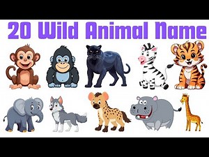 Learn Wild Animals for Children | Lion, Tiger, Elephant & More | Educational Video for Kids