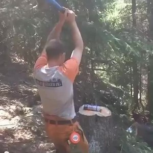 WHY🤷‍♂️🤪 We Love Tools | Total Tools