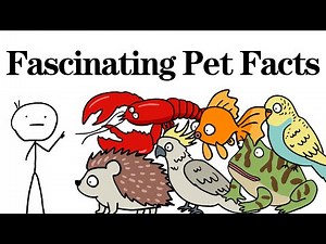 Fascinating Pet Facts. Animal Facts