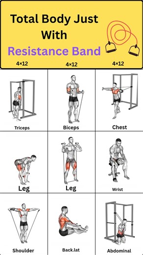 🔥One Band,Total Body,Done🔥