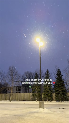 Maybe in another world ❤️ #christmas #christmas2025