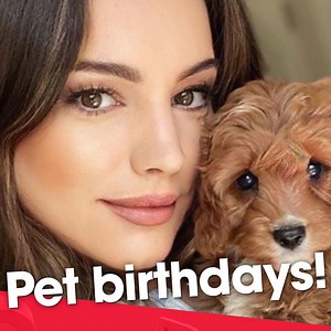 Show us how you celebrate your pets birthdays - pressies, cake, everything! 🐶 🎉 🥳 | Heart