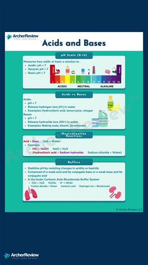 Understanding Acids and Bases for TEAS 7 Success