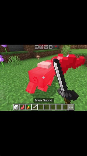 Trolling pig 😂😂