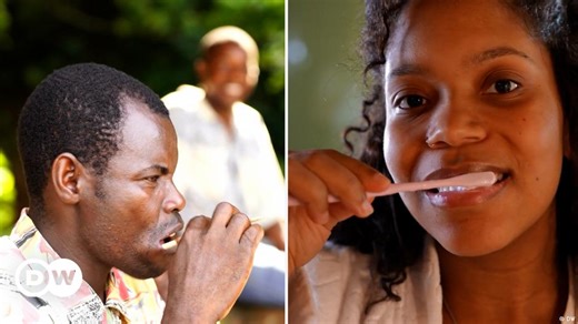 Can Nigeria's chewing sticks beat conventional toothpaste?