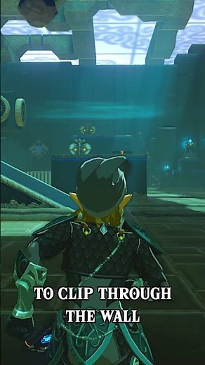Can you Shield Clip in Tears of the Kingdom?