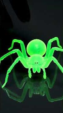 Spider ASMR You Can’t Stop Watching 🕷️✨