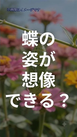 🦋【Miraculous 32 Seconds】From Egg to Beautiful Swallowtail Butterfly! An Ultra-High-Speed Growth T...