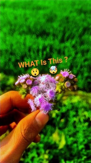 Village Farming Vlog 🌾 | Realistic FS19 Gameplay | Farming Simulator 19 Hindi