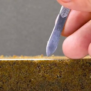 2.5K views · 23 reactions | Awesome World on Reels | Facebook