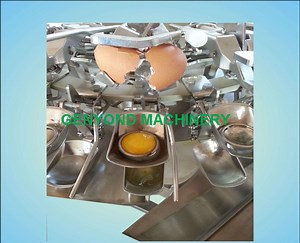 [Hot Item] Factory Genyond Complete Automatic Egg Liquid & Powder Processing Plant Production Line