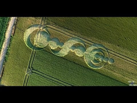 Maisnil-les-Ruitz : des crop circles dans un champ