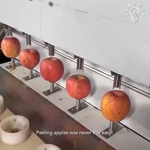 Check out how apples are peeled in a factory! | Bee Inspired