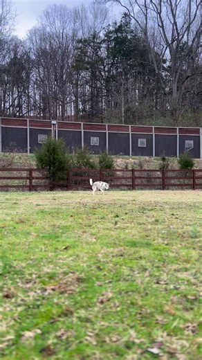 Good morning, Mishka!! | Mike Farris