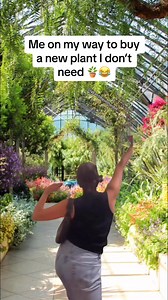 On my way! 😂🪴 #plants #houseplants #plantmom #plantmememami #plantmemes #plantsofinstagram #instaplants #indoorplants #indoorjungle #crazyplantpeople #plantfamily #plantmeme #crazyplantlady #plantgang #plantparenthood #plantparents #plantmemesonly #plantsofig #plantsplantsplants | Plant Me In The Dirt