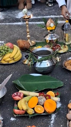 தைப்பொங்கல் விழா #foryoupage #pongal #festival #traditional #tamil #youtubeshorts