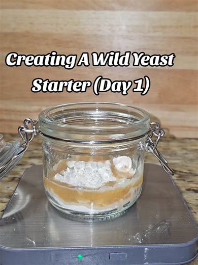 Creating a Wild Yeast Starter: Day 1 Guide