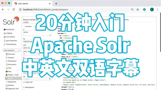 Apache Solr 8 入门教程