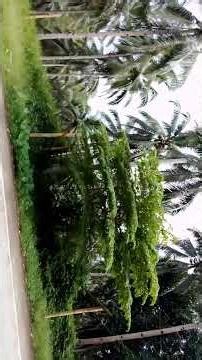 About Features " Drive Fast