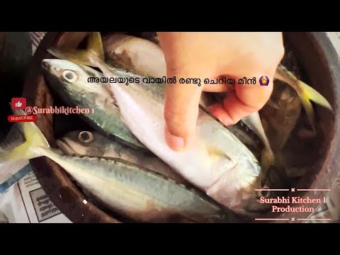 HOW TO CUT FISH WITH SCISSORS / HOW TO CLEAN FISH / MACKEREL FISH CUTTING / HOW TO CUT FISH