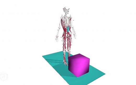 opensim人体搬运重物仿真