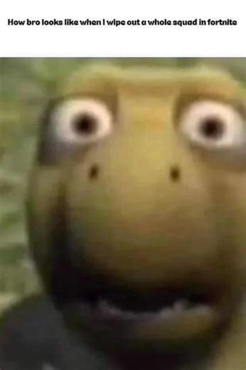 shocked turtle meme