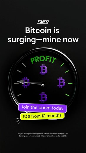 Entry from $3990. Your hardware is already in our data center, you’re just several clicks and 24 hours away from getting your first profit. Full legal transparency. Simple management in your profile | EMCD