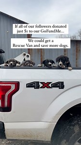 We need a Rescue Van!! Rescuing dogs in a truck is not safe, it’s not practical, I can only secure one dog or a few puppies at a time in the cab with me. Can’t even fit a crate in my cab so they puke in my truck. My truck is always breaking, it’s big, it’s loud and it’s expensive to drive. If we had a rescue van I could save so many more dogs and help our community out so much more! It would be safer and cleaner for the dogs and for me. Please consider donating to our @gofundme to help us save m